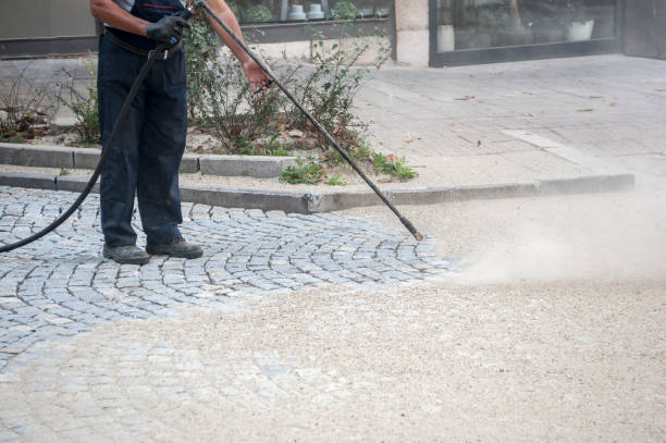Best Parking Lot and Garage Cleaning  in Roma, TX
